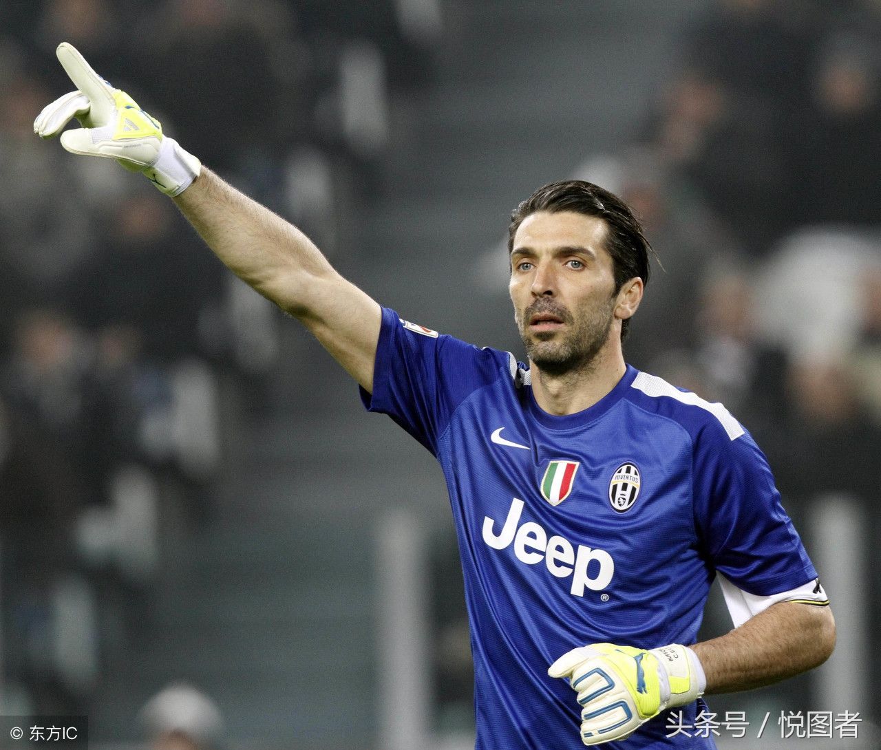 而不仅限于 而不仅限于